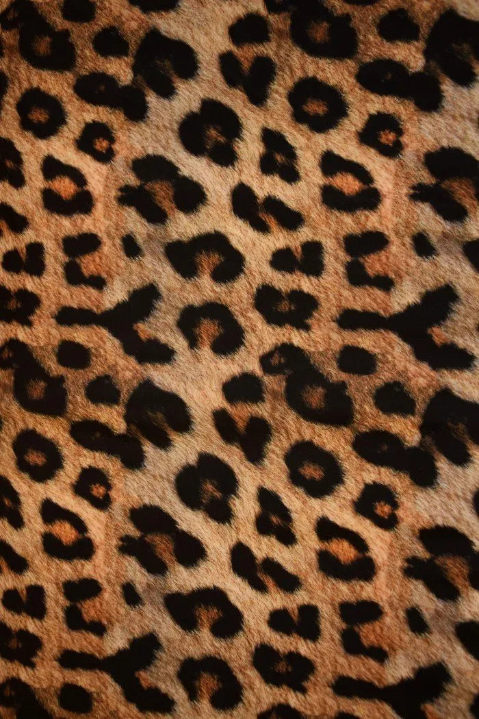 Leopard Catsuit with Side Panels